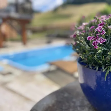 Holiday home Traumhaftes Schwarzwaldhaus Mit Swimming Pool
